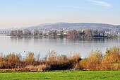 Pannestiel as seen from Frauenwinkel protected area on Seedamm lake shore