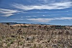 Thumbnail for File:Photo Paolo Villa VR 2016 (VT) F0164008tris Tarquinia, area archeologica etrusca della Ara della Regina, vedute e fondamenta del tempio.jpg