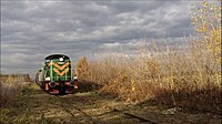 Pociąg towarowy na dawnym przystanku kolejowym w Łukowej Tarnowskiej 2.jpg