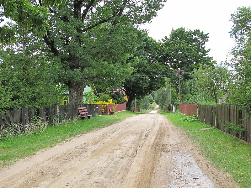 File:Podlaskie - Krynki - Nowa Świdziałówka - Ctr - Droga - v-NE.jpg