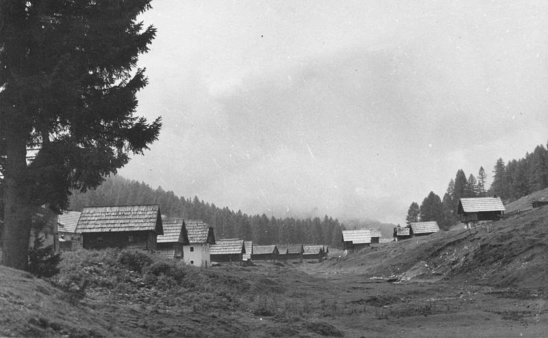 File:Pogled na stanove fače in tamarje na Brški planini proti zahodu 1951.jpg