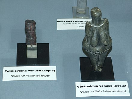 Copy of Venus of Petřkovice beside that of Venus of Dolní Věstonice at an exhibition in the National Museum, Prague