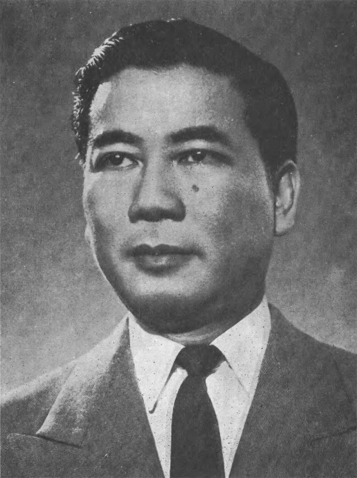 Ngo Dinh Diem - Wikipedia