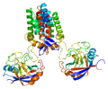 Thumbnail for Peptidylprolyl isomerase A