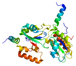 Ақуыз SF3B14 PDB 2f9d.png