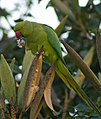 Bangalore, India