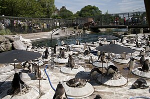 Zoológico de Edimburgo