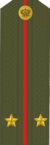 RAF AF kun nombro-2Lt 2010.png