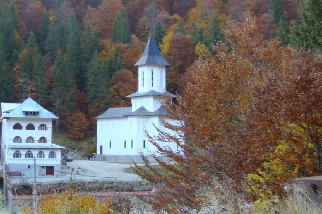 Arefu, Argeș