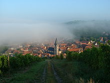 Fișier:Randersacker_im_nebel.jpg