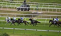 osmwiki:File:Randwick Racecourse 002.jpg