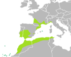 Range map of Hyla meridionalis (Mittelmeer-Laubfrosch, Verbreitungskarte)