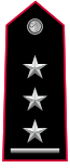 Ranger insignier af primo capitano af Arma dei Carabinieri.svg