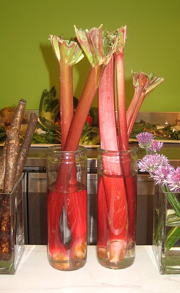 Rhubarb - Wikipedia