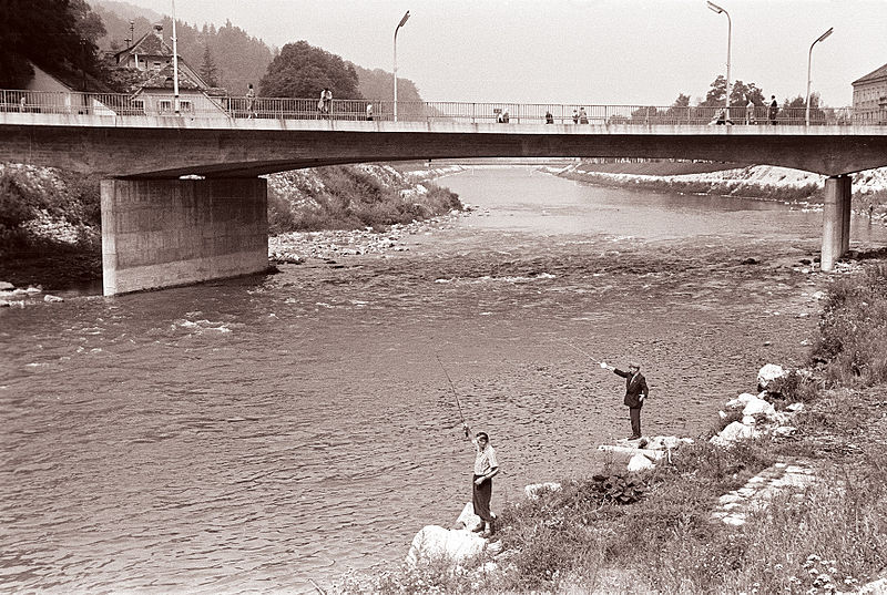 File:Ribiča v Celju 1960.jpg