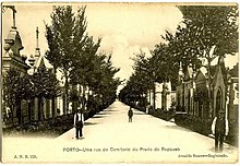 Rua no Cemitério do Prado do Repouso - 1900.jpg