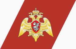 Russian National Guard racing stripe.png