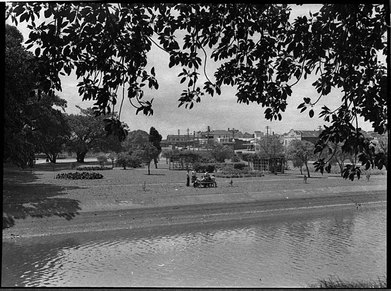 File:SLNSW 33382 Tighes Hill park.jpg