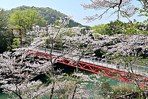 桜淵公園 Wikipedia