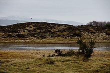 A lochan between the dunes at Coul Links. Sand dune lochan, Coul Links - geograph.org.uk - 1801077.jpg