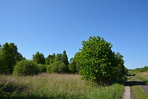 Schleswig-Holstein, Hennstedt, Landschaftsschutzgebiet Hennstedter Moor NIK 2611.jpg