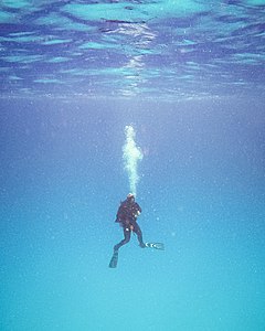 Scuba Diving in Cozumel