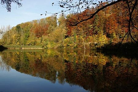 Seewen Baslerweiher