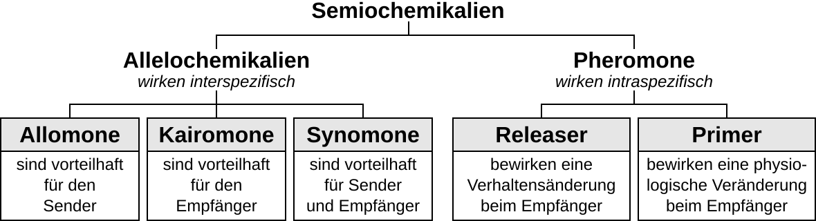 wirken pheromone