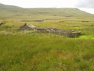 <span class="mw-page-title-main">Birkdale, North Yorkshire</span> Dale in North Yorkshire, England