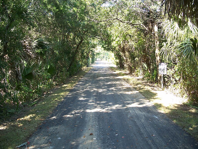 File:St Marks FL RR trail03.jpg