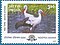 Stamp of India - 2000 - Colnect 161137 - White Stork Ciconia ciconia.jpeg