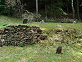 Čeština: Náhrobky na starém židovském hřbitově ve městě Brtnice, okres Jihlava. English: Gravestones in the old Jewish cemetery in the town of Brtnice, Jihlava District, Vysočina Region, Czech Republic. This is a photo of a cultural monument of the Czech Republic, number: 27342/7-4765. Památkový katalog  · MIS  · hledat obrázky  · hledat seznamy  · Wikidata