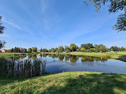 Jak dojechać komunikacją do Staw Pozytywka - O miejscu docelowym