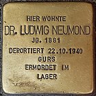 Stolperstein Ludwig Neumond LU 2018.jpg
