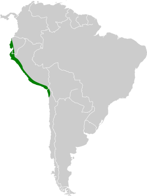 Opis obrazu Sturnella bellicosa map.svg.