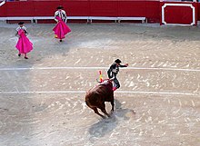 Second Spain bullfight stage: tercio de banderillas