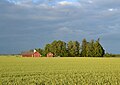 108 Swedish landscape near Mjölby (by Pudelek) 02 uploaded by Pudelek, nominated by Pudelek