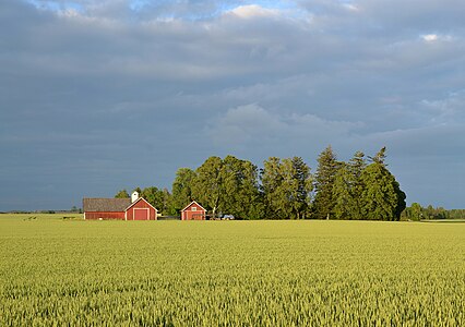 Swedish landscape near Mjölby