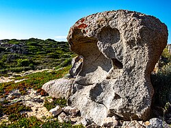 Tafoni weathering in monzonite near Corbara in Corsica.jpg