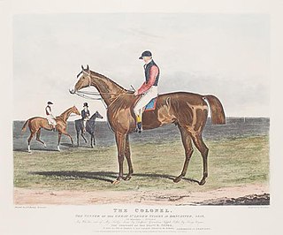 The Colonel (horse) British-bred Thoroughbred racehorse