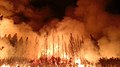 Image 9Wildfire near Yosemite National Park, United States, in 2013. The Rim Fire burned more than 250,000 acres (1,000 km2) of forest. (from Wildfire)