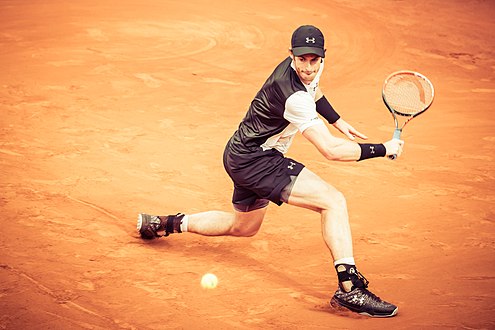 Andy Murray, 2016