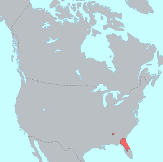 Timucua language Extinct language in Florida and Georgia, USA