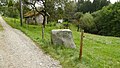 Deutsch: Toteiskessel 12, nummerierter Findling aus Granitgneis, vom Schmelzwasser überschliffen, Toteiskessel-Wanderweg bei Haag in Oberbayern