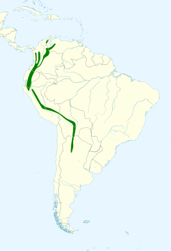 Troglodytes solstitialis map.svg