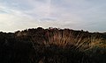 Unnamed tumulus on Winsford Hill, Exmoor, Somerset.