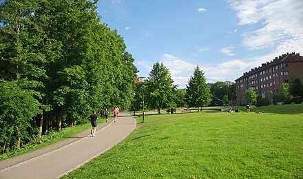 Oslo is a green city. Hiking or cycling through parks and along green corridors is a good alternative to motorized transport.