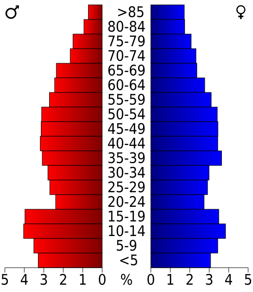 File:USA Choctaw County, Oklahoma age pyramid.svg