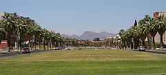 Image 39The University of Arizona (the Mall) in Tucson (from Arizona)