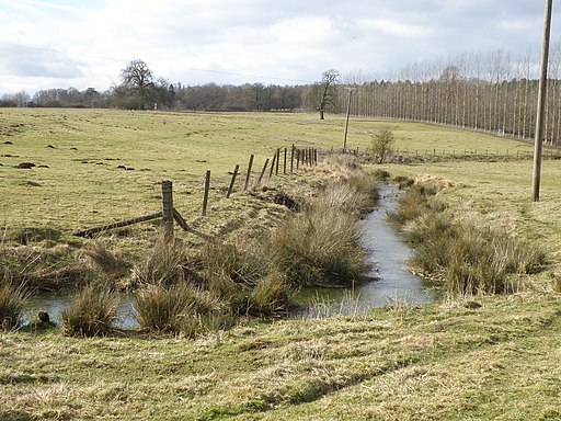 Unnamed brook near Fineshades Wood - geograph.org.uk - 1740830